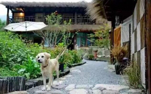 岁月的小院.jpg 岁月的小院.jpg