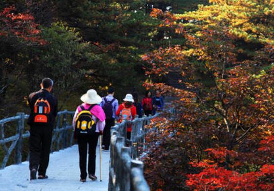 秋游.jpg 秋游.jpg