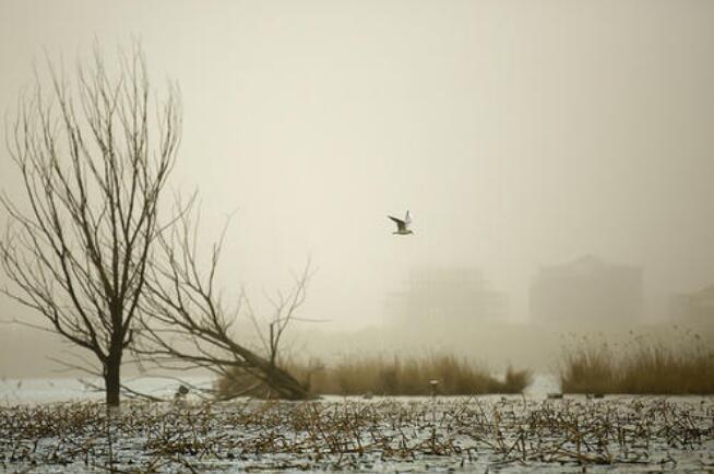 失色天空.jpg 失色天空.jpg