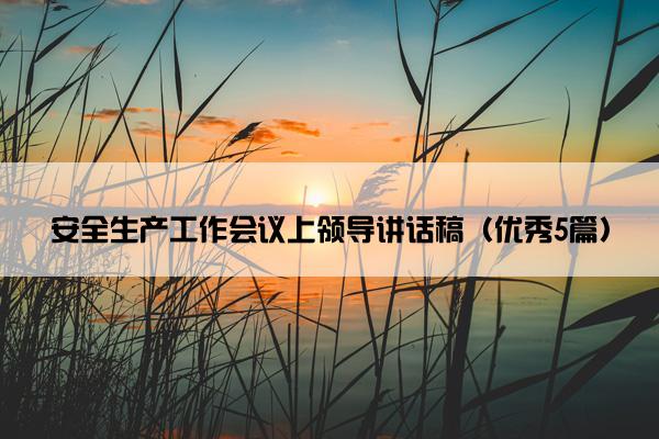 安全生产工作会议上领导讲话稿（优秀5篇）