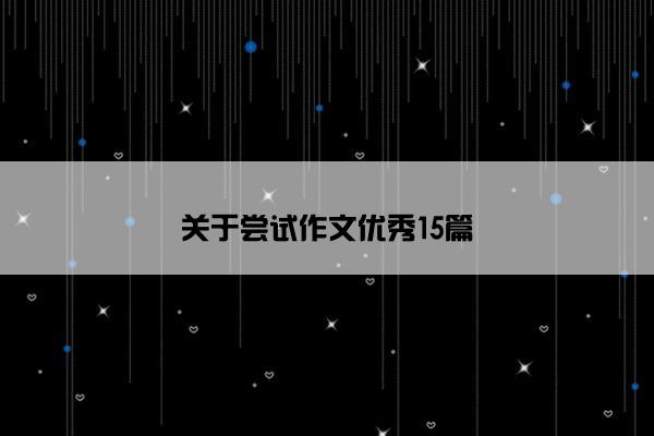 关于尝试作文优秀15篇