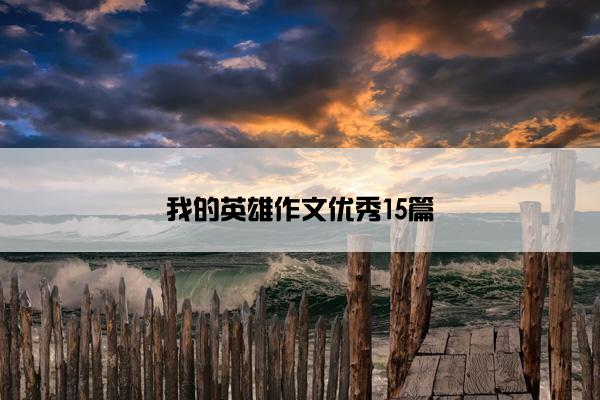 我的英雄作文优秀15篇