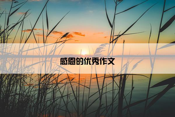 感恩的优秀作文