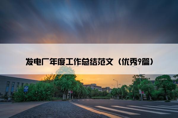 发电厂年度工作总结范文（优秀9篇）