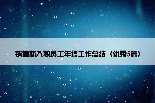 销售新入职员工年终工作总结（优秀5篇）