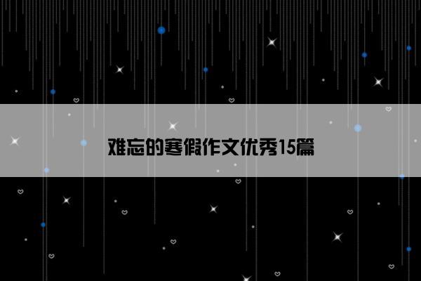 难忘的寒假作文优秀15篇