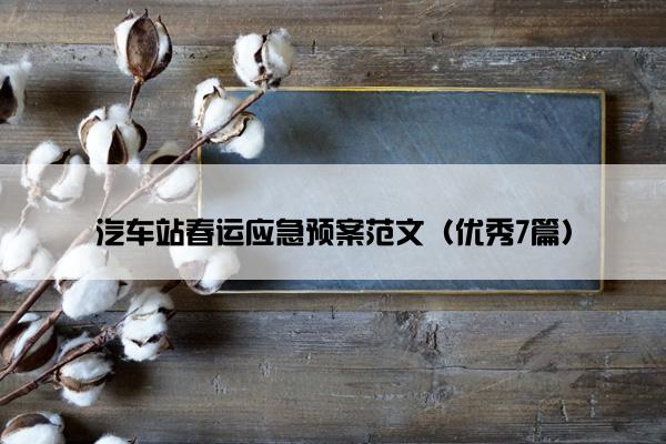 汽车站春运应急预案范文（优秀7篇）