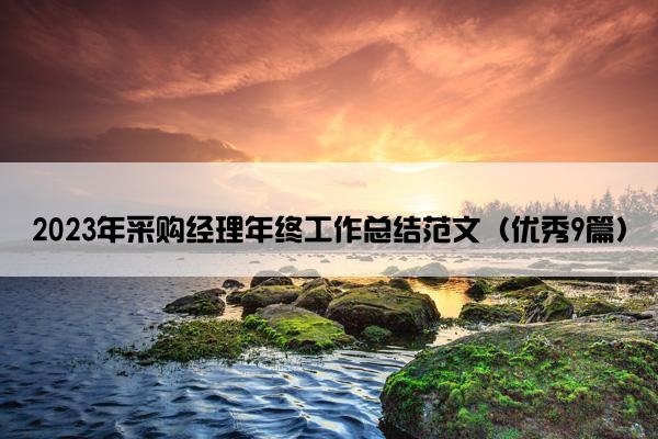 2023年采购经理年终工作总结范文（优秀9篇）