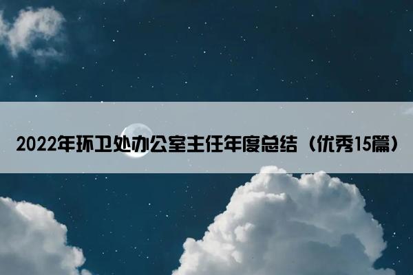2022年环卫处办公室主任年度总结（优秀15篇）