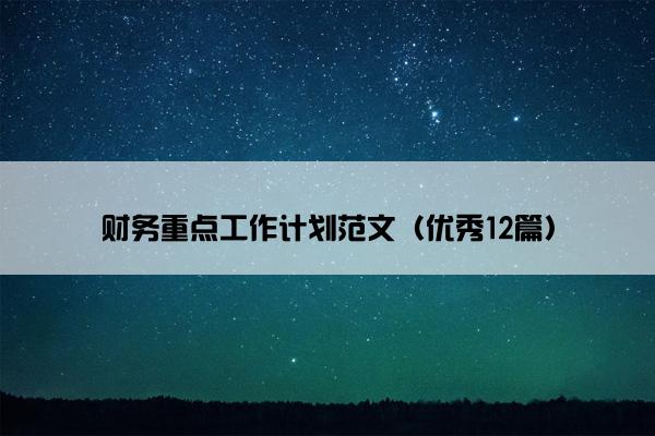 财务重点工作计划范文（优秀12篇）