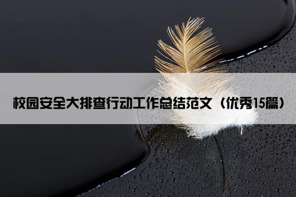 校园安全大排查行动工作总结范文（优秀15篇）