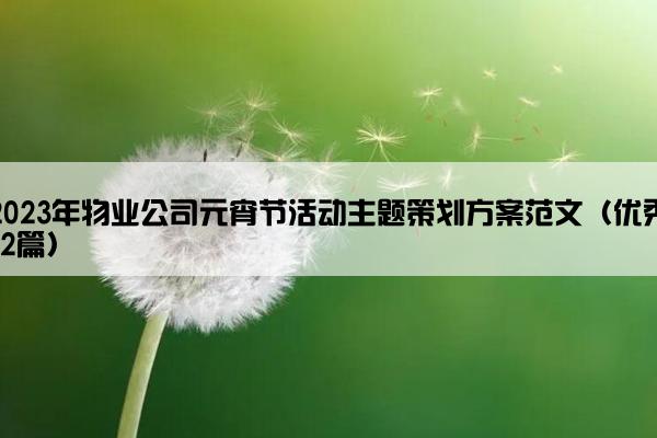 2023年物业公司元宵节活动主题策划方案范文（优秀12篇）