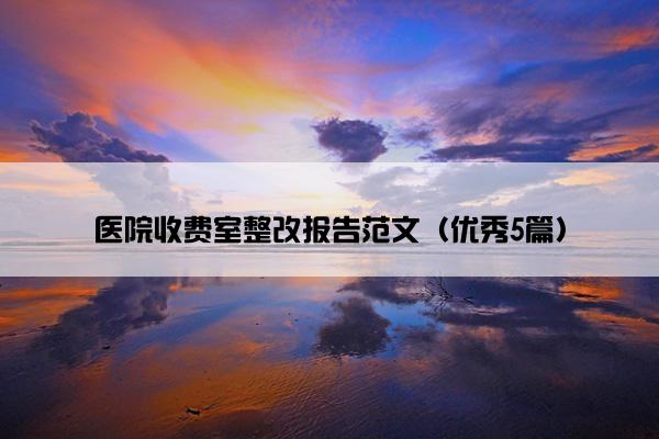 医院收费室整改报告范文（优秀5篇）