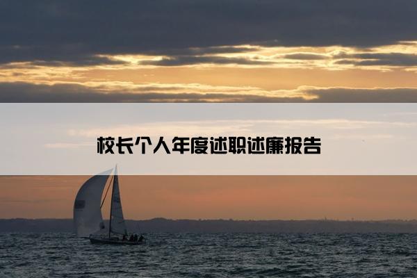 校长个人年度述职述廉报告