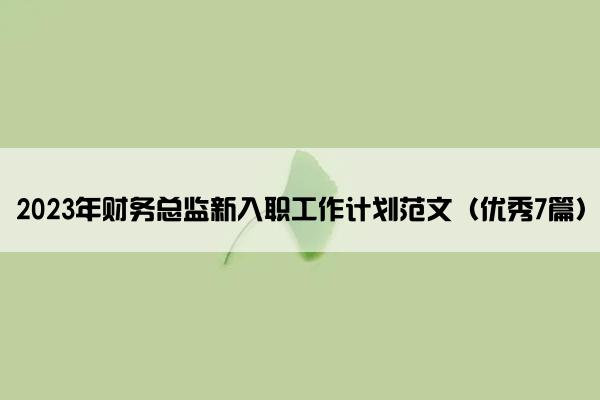 2023年财务总监新入职工作计划范文（优秀7篇）