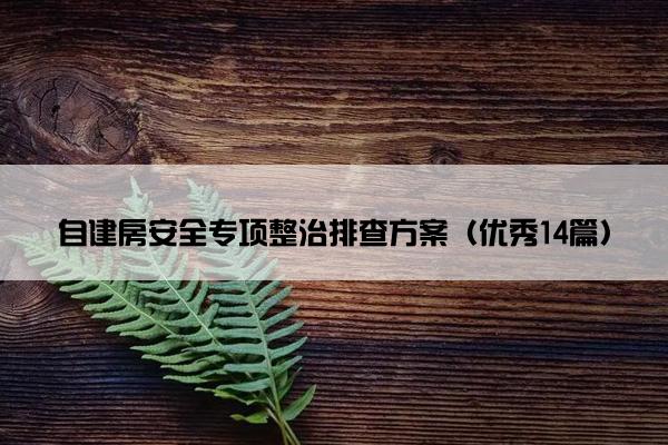 自建房安全专项整治排查方案（优秀14篇）
