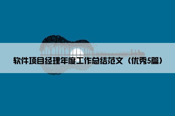 软件项目经理年度工作总结范文（优秀5篇）
