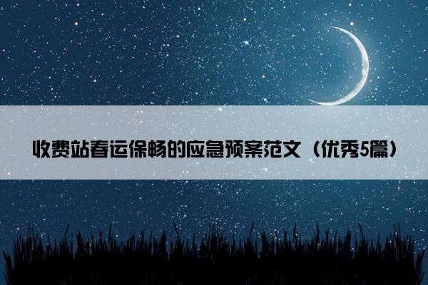 收费站春运保畅的应急预案范文（优秀5篇）