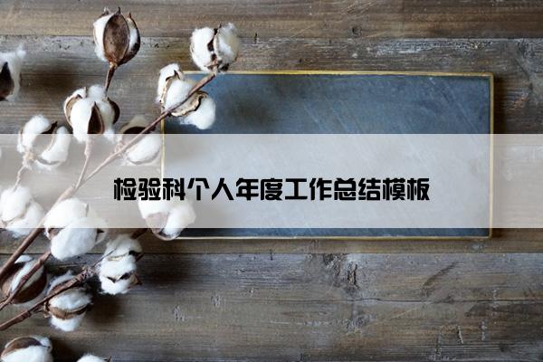 检验科个人年度工作总结模板