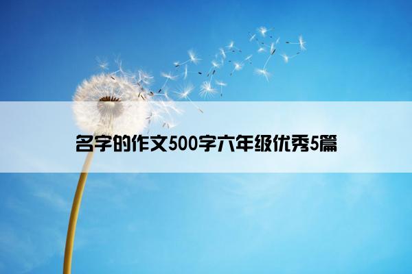 名字的作文500字六年级优秀5篇
