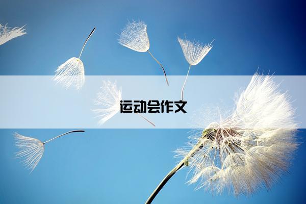 运动会作文