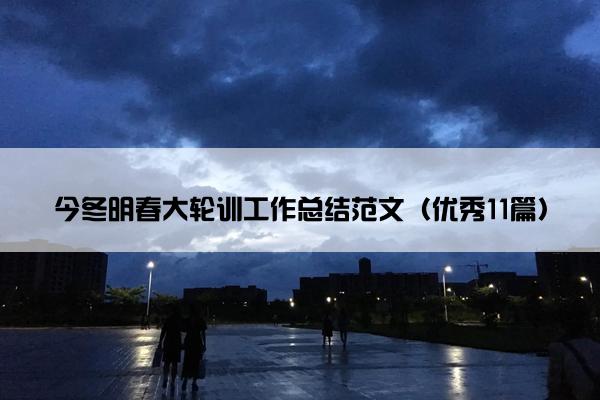 今冬明春大轮训工作总结范文（优秀11篇）