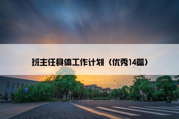 班主任具体工作计划（优秀14篇）