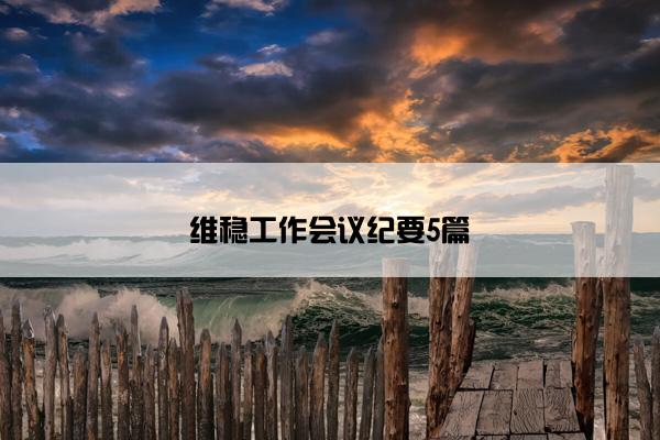 维稳工作会议纪要5篇