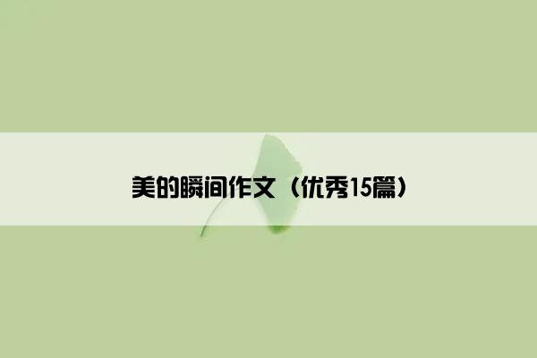 美的瞬间作文（优秀15篇）