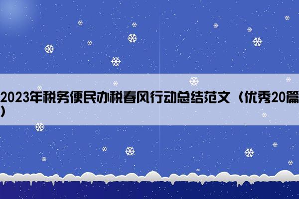 2023年税务便民办税春风行动总结范文（优秀20篇）