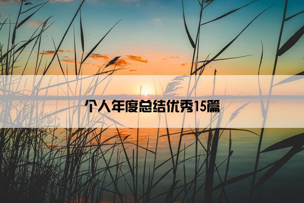 个人年度总结优秀15篇
