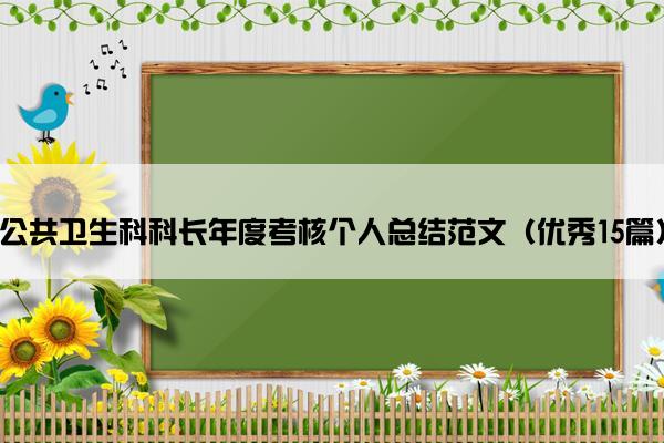 公共卫生科科长年度考核个人总结范文（优秀15篇）