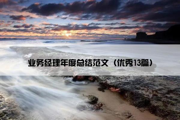 业务经理年度总结范文（优秀13篇）