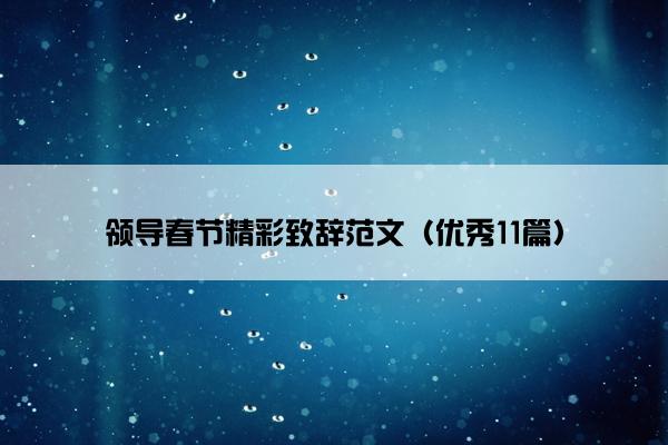 领导春节精彩致辞范文（优秀11篇）