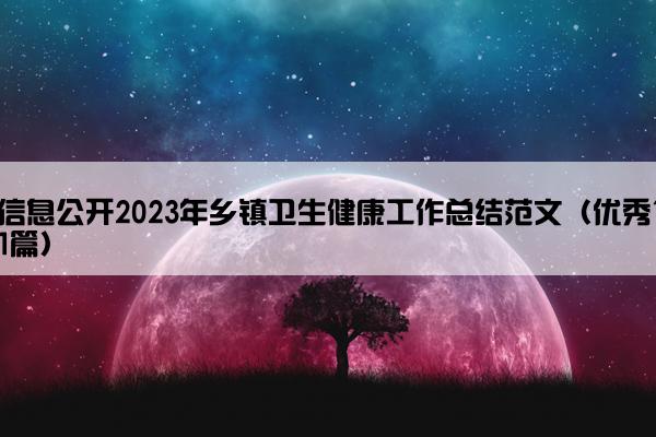 信息公开2023年乡镇卫生健康工作总结范文（优秀11篇）
