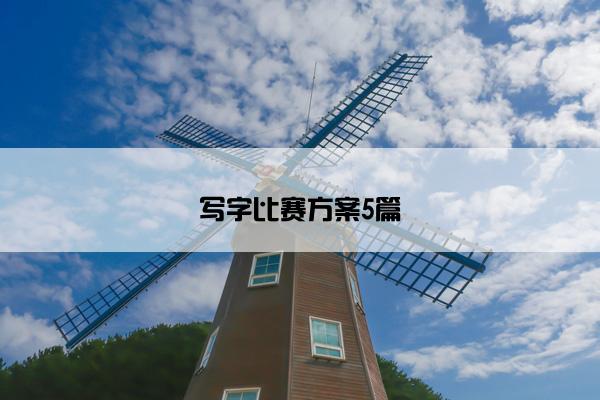 写字比赛方案5篇