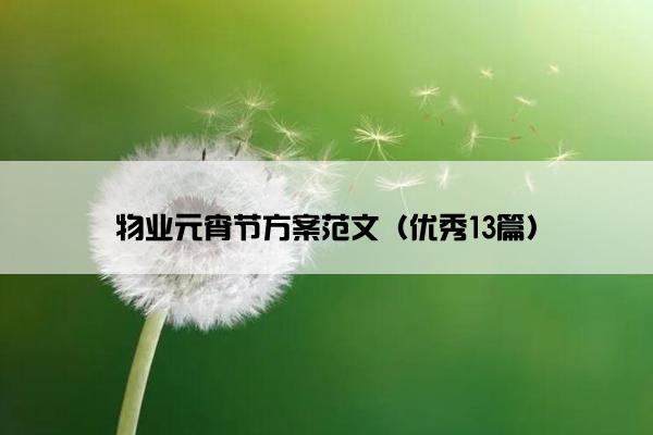 物业元宵节方案范文（优秀13篇）