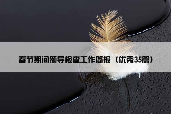 春节期间领导检查工作简报（优秀35篇）