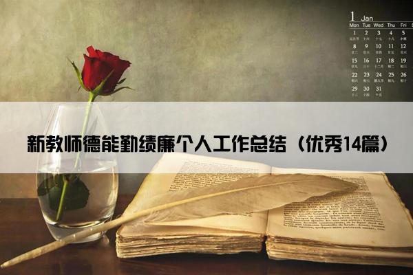 新教师德能勤绩廉个人工作总结（优秀14篇）