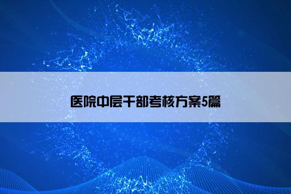 医院中层干部考核方案5篇