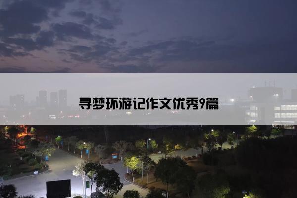 寻梦环游记作文优秀9篇