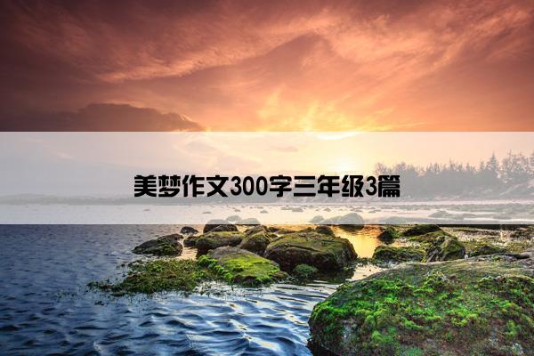 美梦作文300字三年级3篇