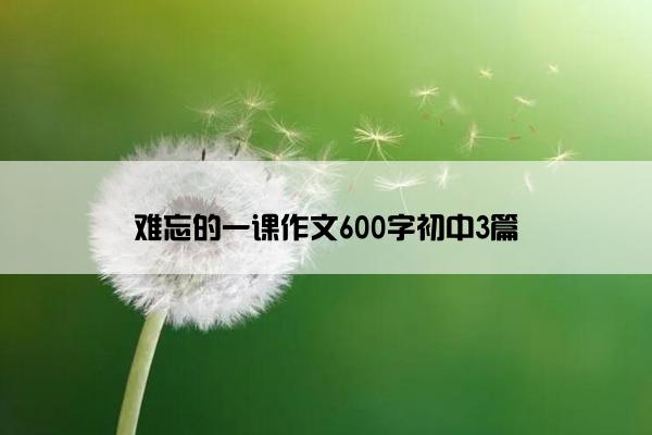 难忘的一课作文600字初中3篇