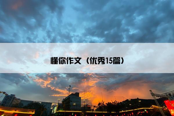 懂你作文（优秀15篇）