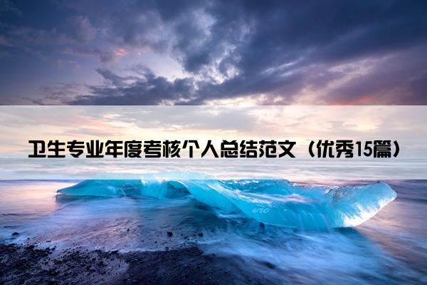 卫生专业年度考核个人总结范文（优秀15篇）