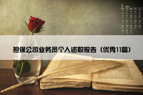 担保公司业务员个人述职报告（优秀11篇）