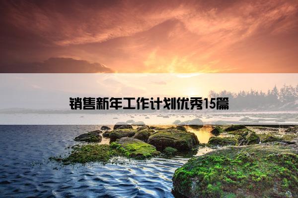 销售新年工作计划优秀15篇