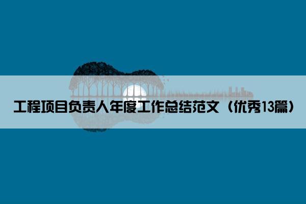 工程项目负责人年度工作总结范文（优秀13篇）