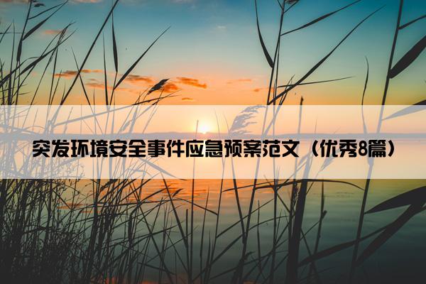 突发环境安全事件应急预案范文（优秀8篇）