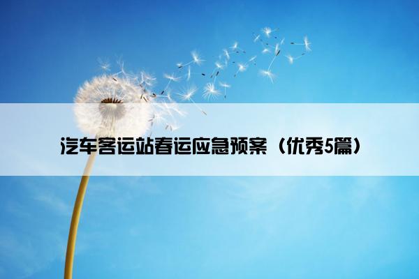 汽车客运站春运应急预案（优秀5篇）